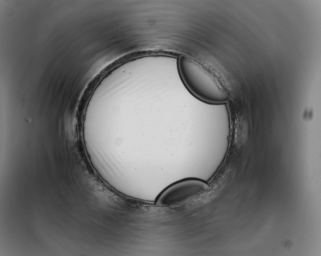 X0000100380876200807031923