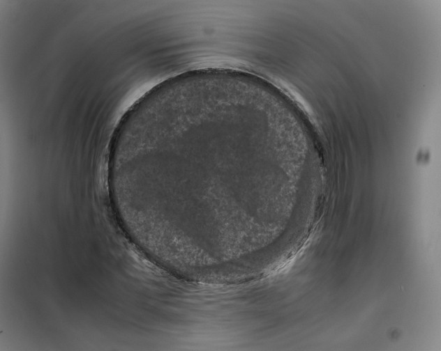 X0000100380877200807031923