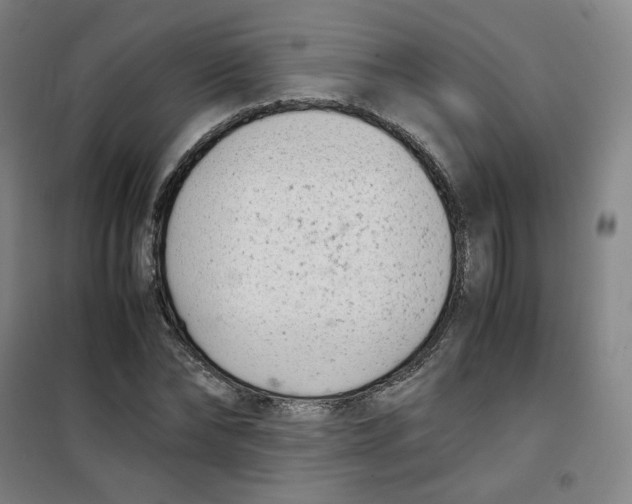 X0000100380878200807031923