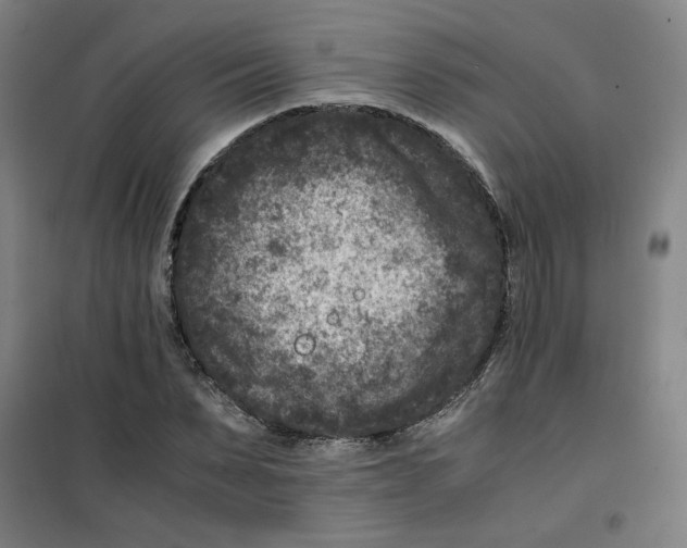 X0000100380879200807031923
