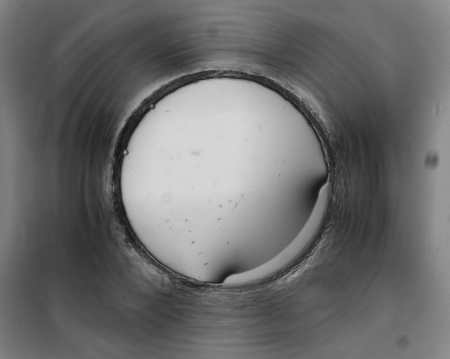 X0000100380880200807031923