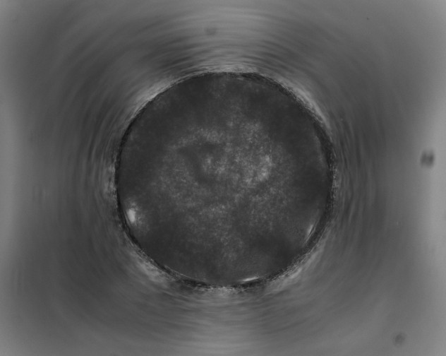 X0000100380881200807031923
