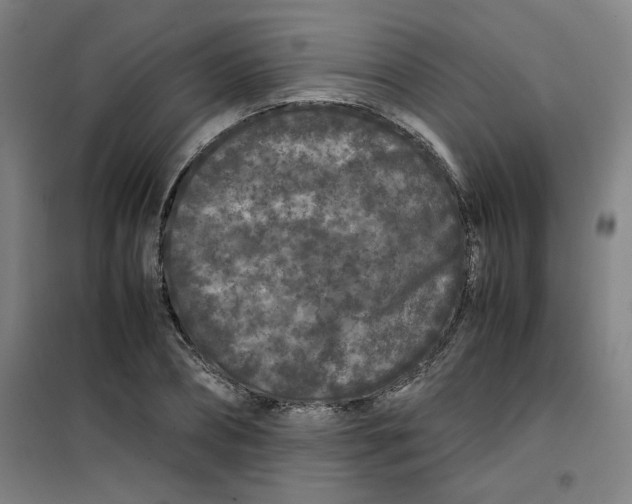 X0000100380882200807031923