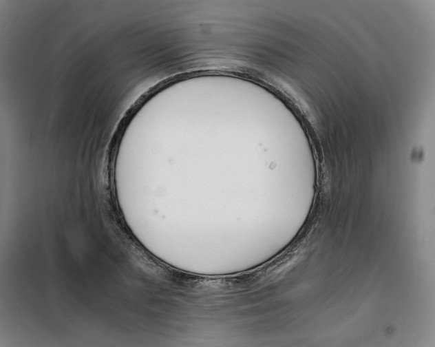 X0000100380883200807031922