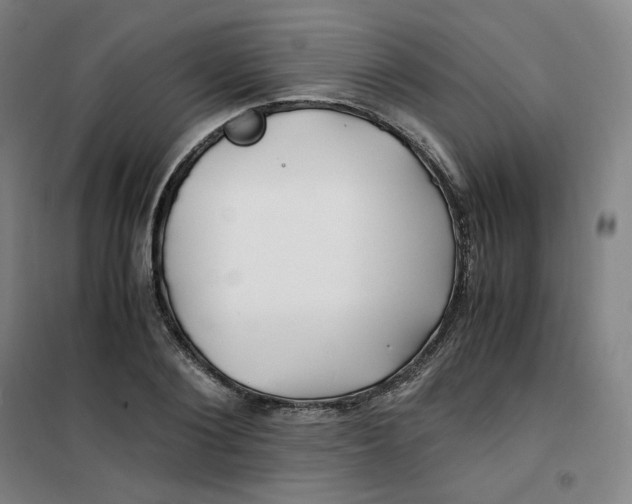 X0000100380884200807031922