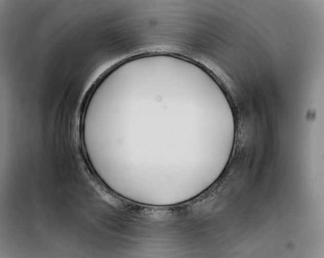 X0000100380886200807031922