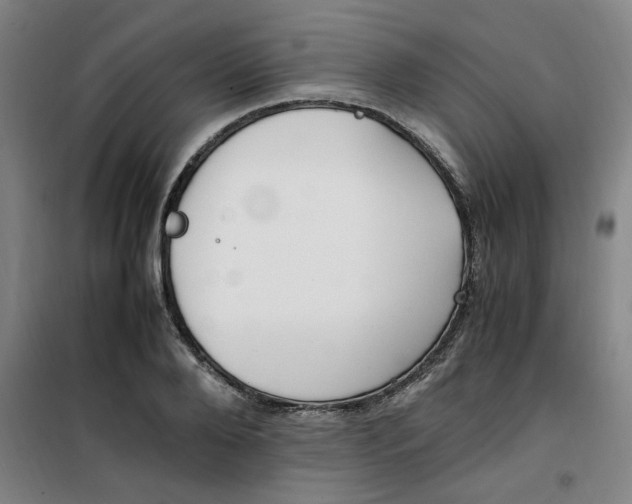 X0000100380888200807031922