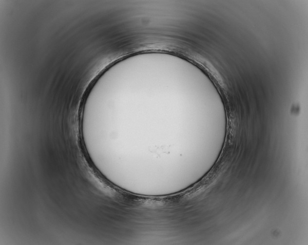 X0000100380890200807031922