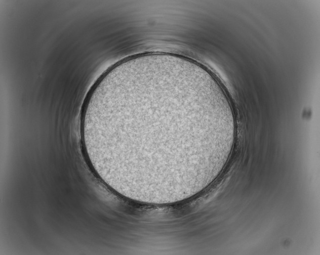 X0000100380891200807031922