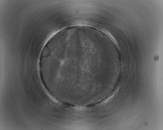X0000100380893200807031922