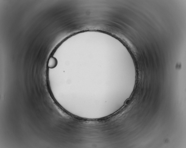 X0000100380894200807031922