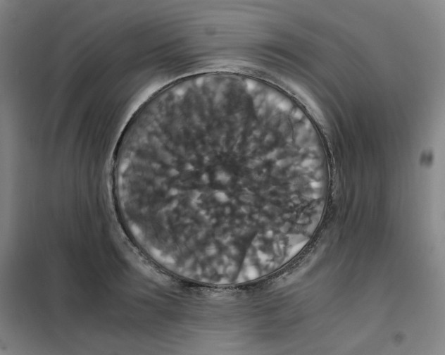 X0000100380899200807031922