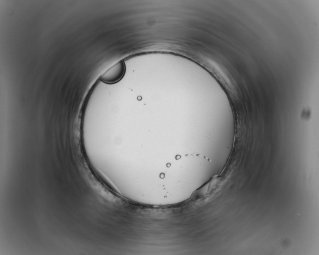X0000100380900200807031922