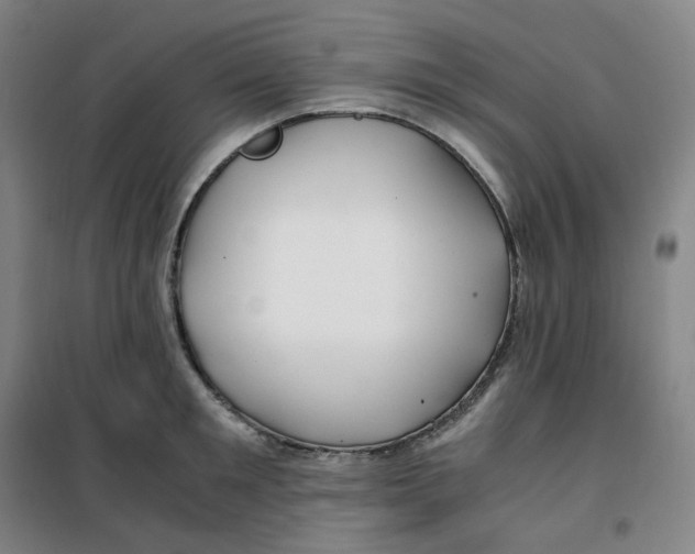 X0000100380901200807031922