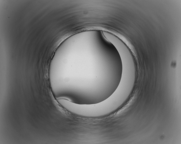 X0000100380905200807031922