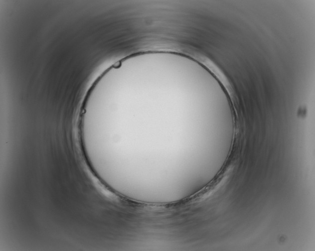 X0000100380909200807031922