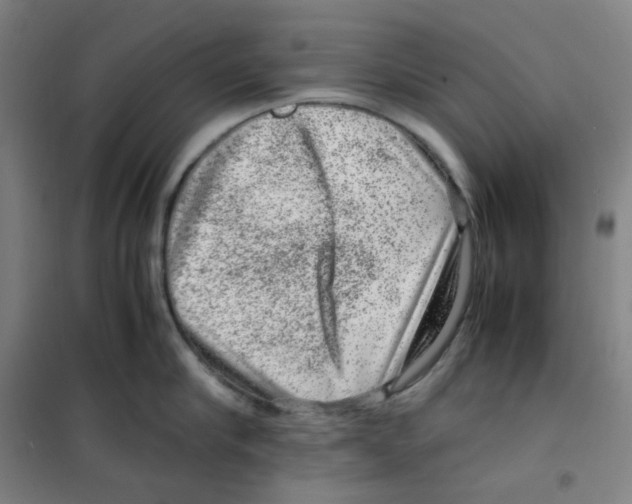 X0000100380910200807031922