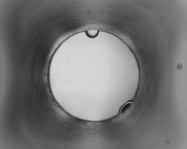 X0000100380912200807031922