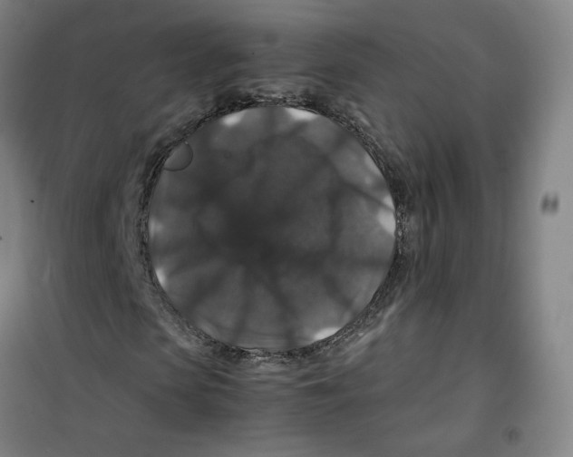 X0000100380913200807031921