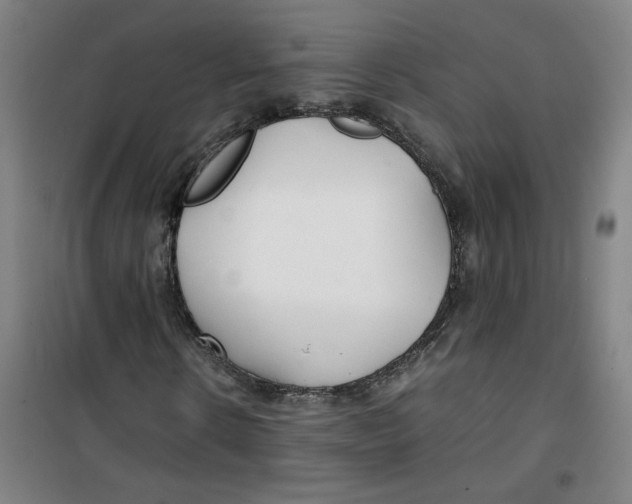 X0000100380914200807031921
