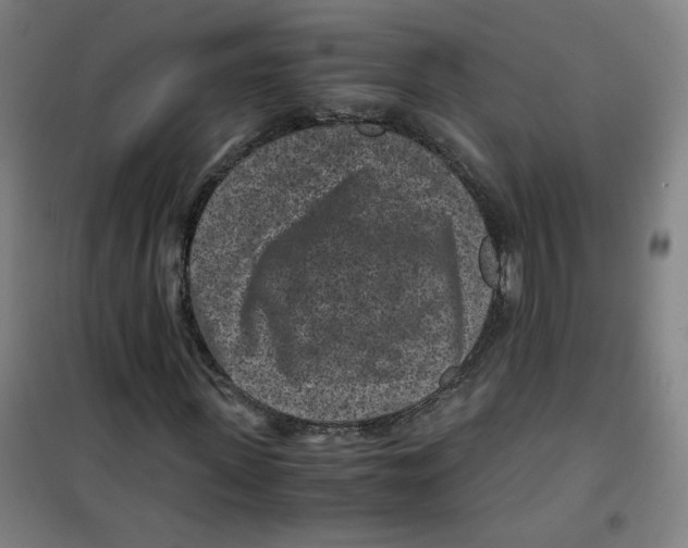 X0000100380915200807031921