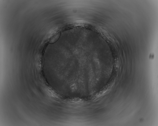 X0000100380916200807031921