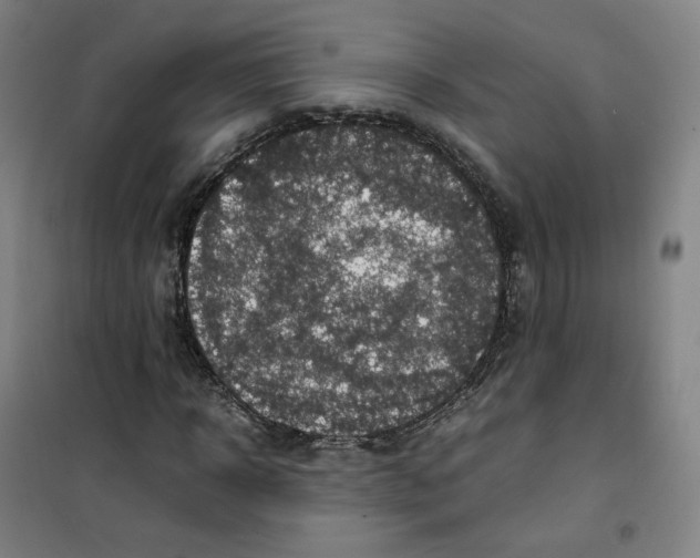 X0000100380918200807031921