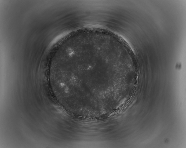 X0000100380919200807031921