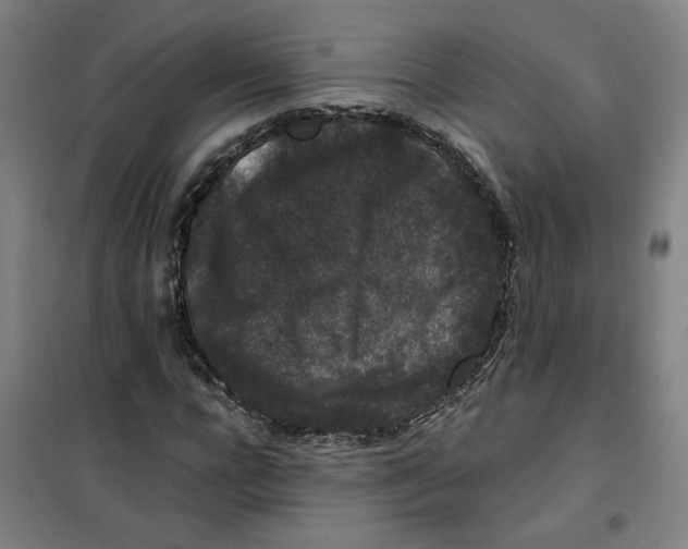X0000100380920200807031921