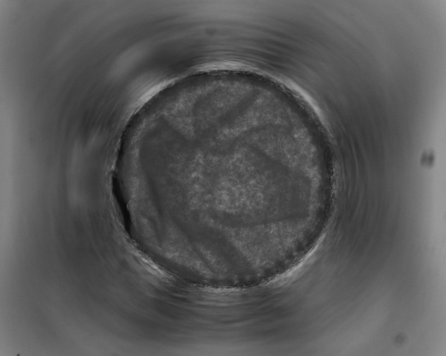 X0000100380921200807031921