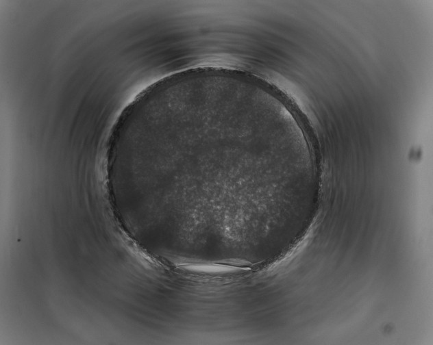 X0000100380923200807031922