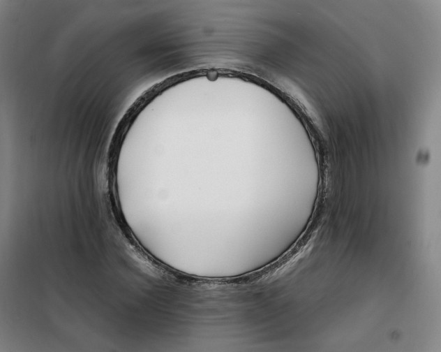 X0000100380924200807031922