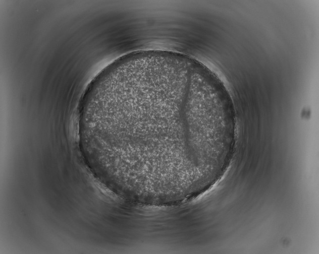 X0000100380925200807031922