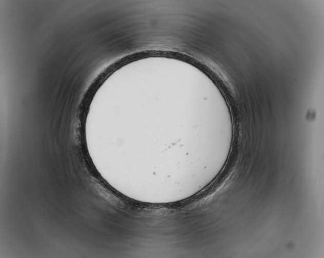X0000100380926200807031922