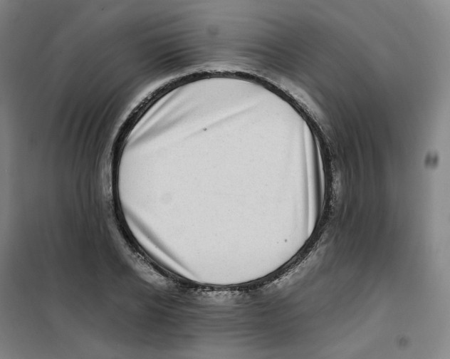 X0000100380934200807031922