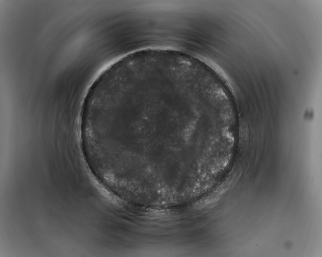X0000100380935200807031922