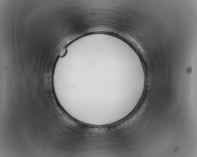 X0000100380937200807031922