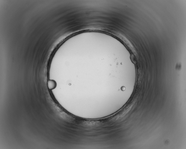 X0000100380939200807031922