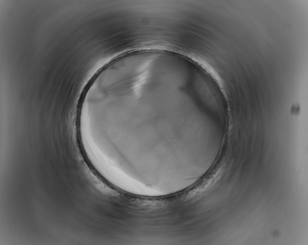 X0000100380941200807031922