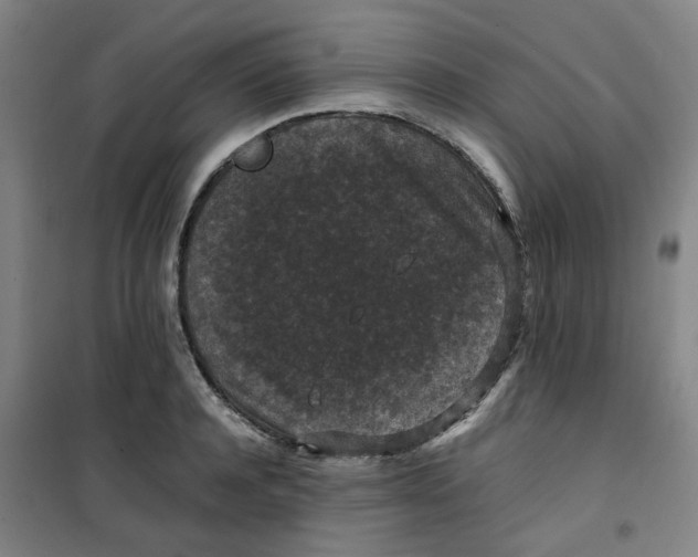X0000100380944200807031922