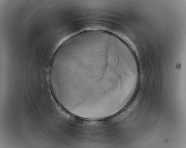 X0000100380945200807031922