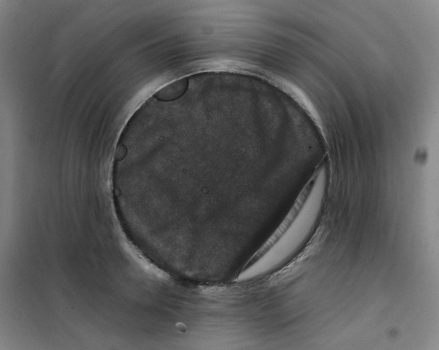 X0000100380946200807031922