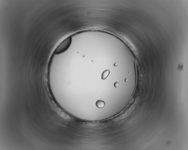 X0000100380948200807031922