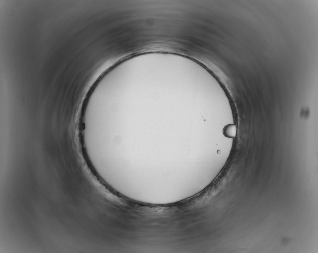 X0000100380949200807031922