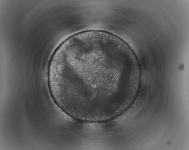 X0000100380950200807031922