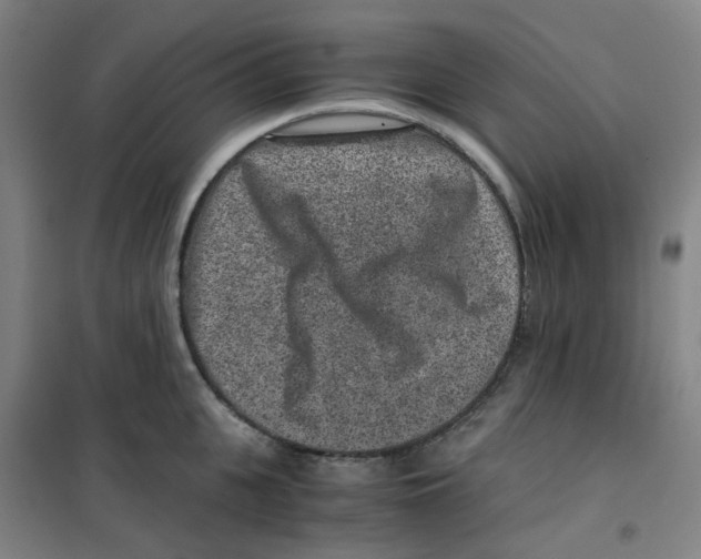 X0000100380951200807031922