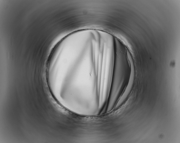X0000100380952200807031922