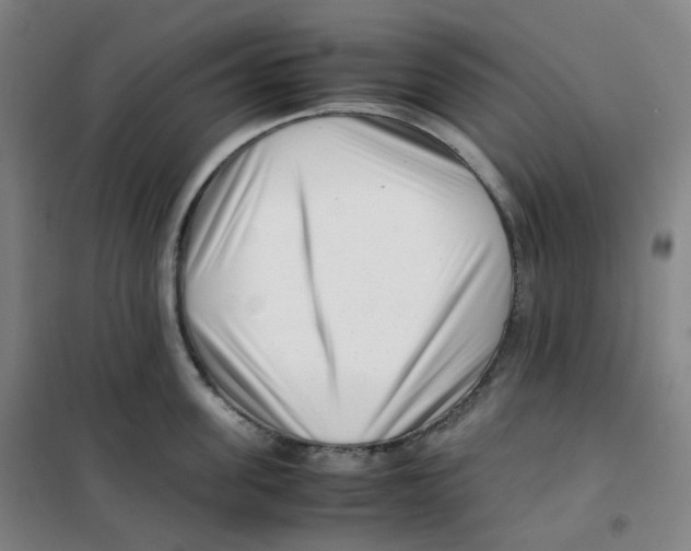 X0000100380955200807031922