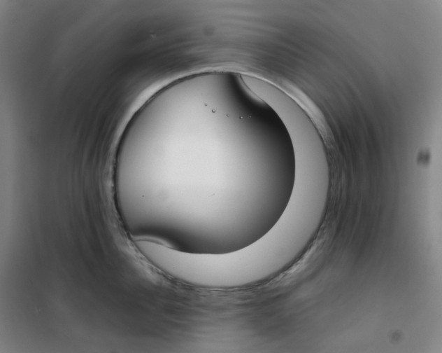 X0000100380956200807031922