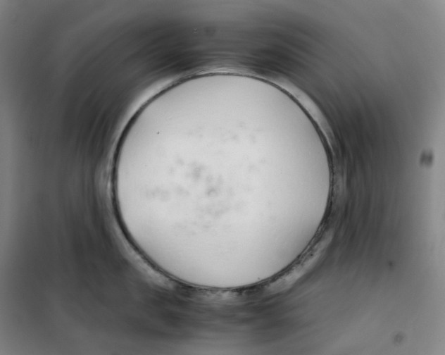 X0000100380957200807031922